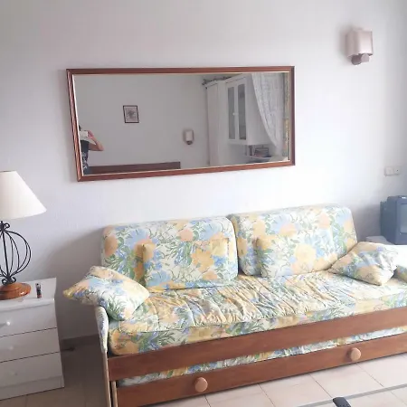 Aphotel Paraiso Del Sur In Centro Citta, Wifi Personale, Vista Mare Con Terrazza, Ristoranti E Pub Adiacenti, Taxi E Bus, Atelier Cura Persona, Farmacia Con Medico Apartment Costa Adeje (Tenerife)